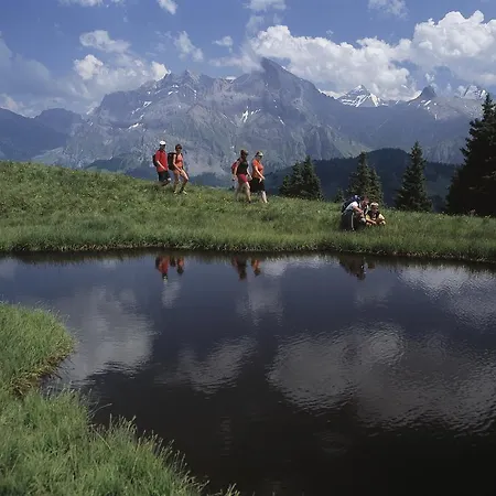 Holiday home Ferienhaus Baslerdybli Adelboden