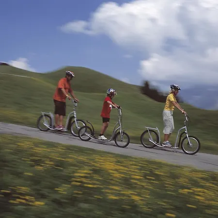 Ferienhaus Baslerdybli Holiday home Adelboden