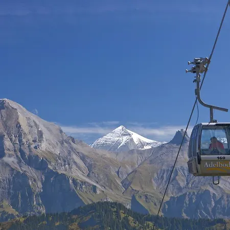Holiday home Ferienhaus Baslerdybli Adelboden